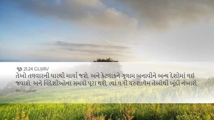 લૂક 21:24 GUJIRV Bible Verse Image