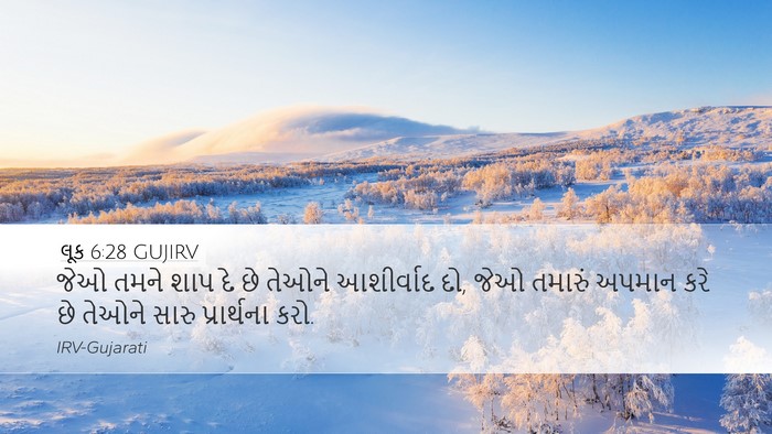 લૂક 6:28 GUJIRV Bible Verse Image