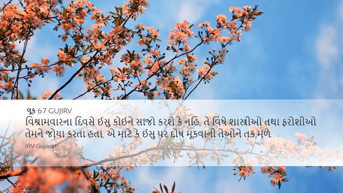 લૂક 6:7 GUJIRV Bible Verse Image
