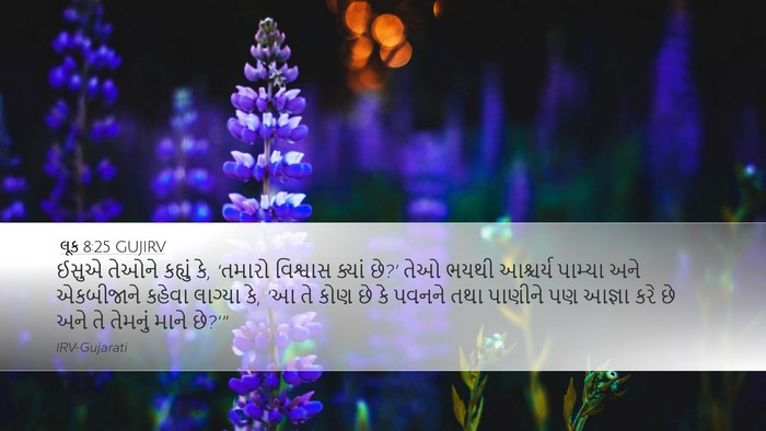 લૂક 8:25 GUJIRV Bible Verse Image