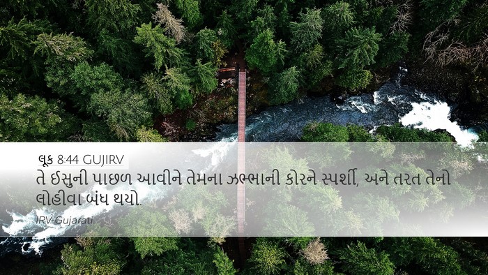 લૂક 8:44 GUJIRV Bible Verse Image