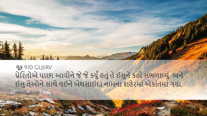 લૂક 9:10 GUJIRV Bible Verse Image