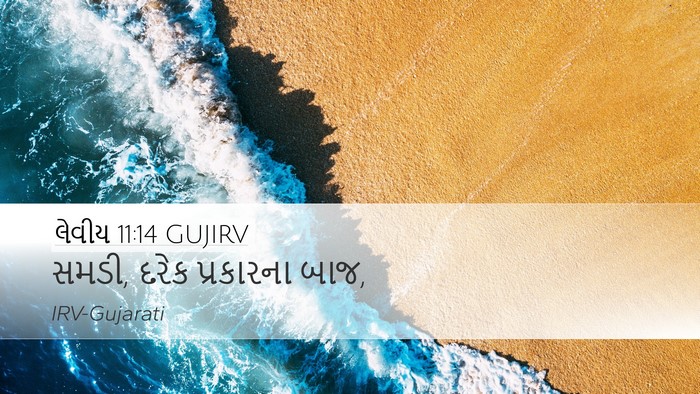 લેવીય 11:14 GUJIRV Desktop Wallpaper - સમડી, દરેક - Desktop Bible Verse Wallpaper