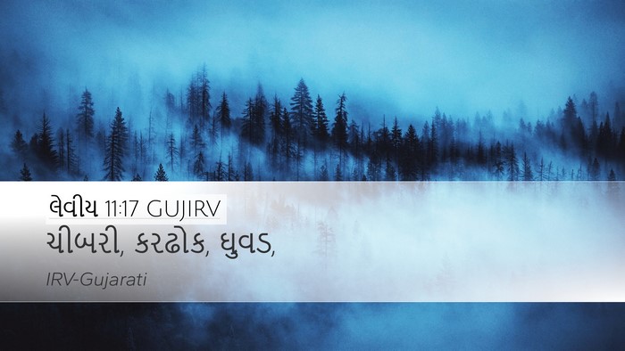 લેવીય 11:17 GUJIRV Desktop Wallpaper - ચીબરી, કરઢોક, - Desktop Bible Verse Wallpaper