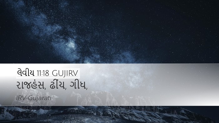 લેવીય 11:18 GUJIRV Desktop Wallpaper - રાજહંસ, ઢીંચ, - Desktop Bible Verse Wallpaper