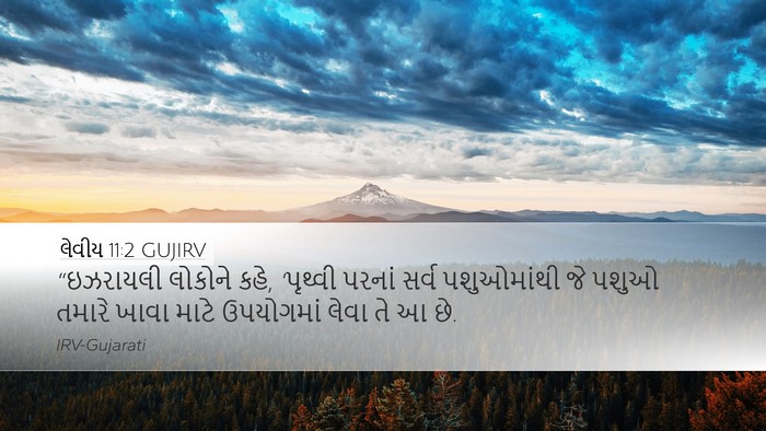 લેવીય 11:2 GUJIRV Desktop Wallpaper - “ઇઝરાયલી લોકોને - Desktop Bible Verse Wallpaper