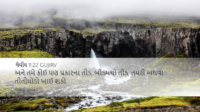 લેવીય 11:22 GUJIRV Bible Verse Image