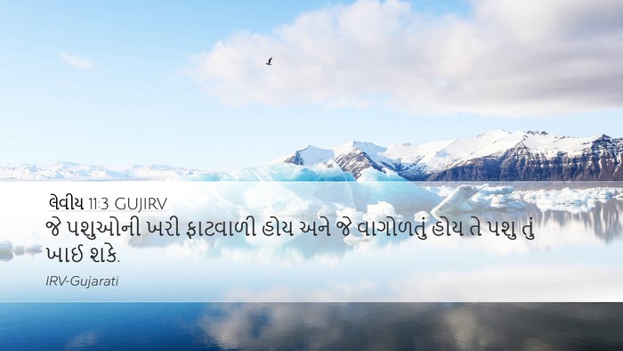 લેવીય 11:3 GUJIRV Desktop Wallpaper - જે પશુઓની ખરી - Desktop Bible Verse Wallpaper