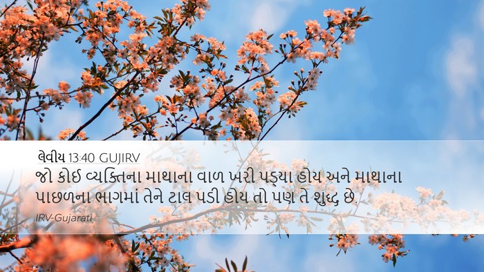 લેવીય 13:40 GUJIRV Desktop Wallpaper - જો કોઈ વ્યક્તિના - Desktop Bible Verse Wallpaper