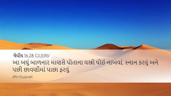 લેવીય 16:28 GUJIRV Bible Verse Image