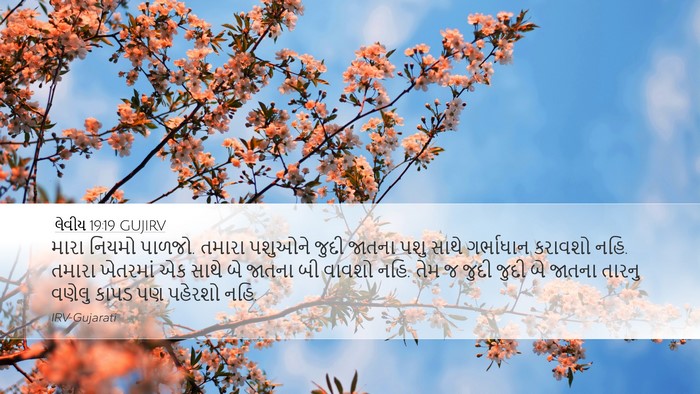 લેવીય 19:19 GUJIRV Bible Verse Image