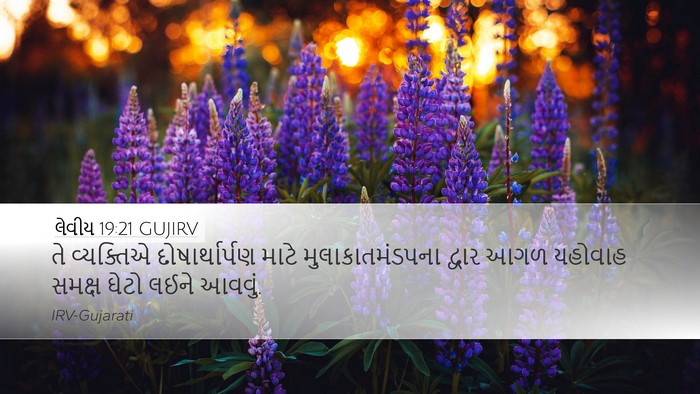 લેવીય 19:21 GUJIRV Bible Verse Image