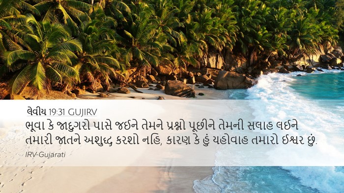 લેવીય 19:31 GUJIRV Bible Verse Image