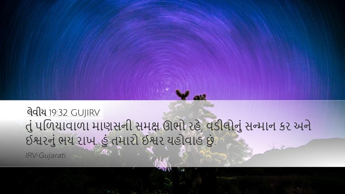 લેવીય 19:32 GUJIRV Bible Verse Image