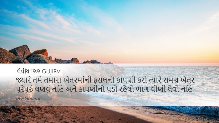 લેવીય 19:9 GUJIRV Bible Verse Image