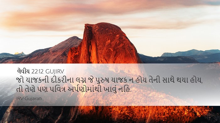 લેવીય 22:12 GUJIRV Bible Verse Image