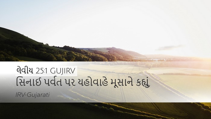 લેવીય 25:1 GUJIRV Bible Verse Image