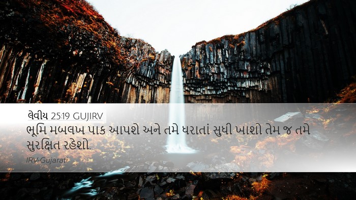 લેવીય 25:19 GUJIRV Desktop Wallpaper - ભૂમિ મબલખ પાક આપશે - Desktop Bible Verse Wallpaper