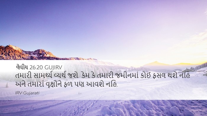 લેવીય 26:20 GUJIRV Bible Verse Image