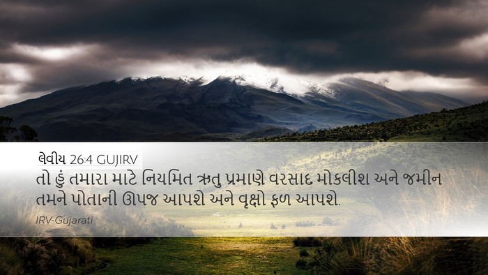 લેવીય 26:4 GUJIRV Bible Verse Image