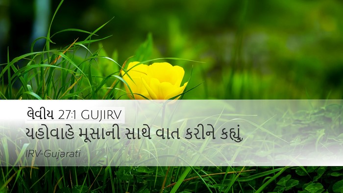 લેવીય 27:1 GUJIRV Desktop Wallpaper - યહોવાહે મૂસાની - Desktop Bible Verse Wallpaper