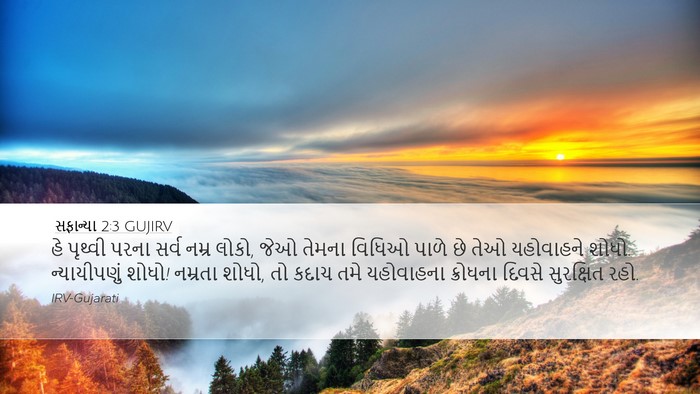 સફાન્યા 2:3 GUJIRV Bible Verse Image