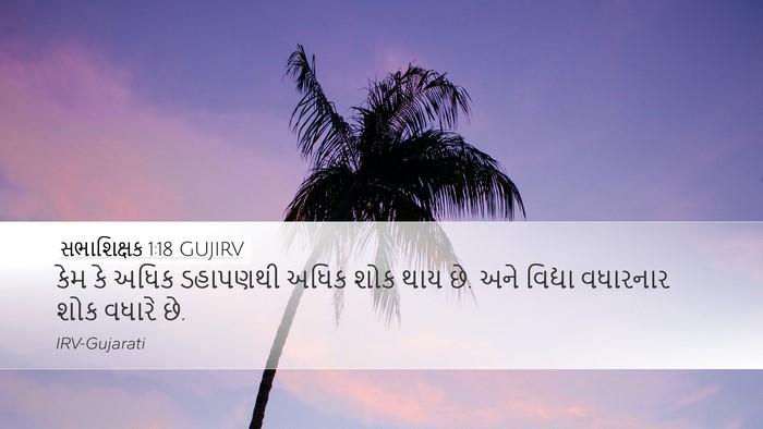 સભાશિક્ષક 1:18 GUJIRV Desktop Wallpaper - કેમ કે અધિક - Desktop Bible Verse Wallpaper