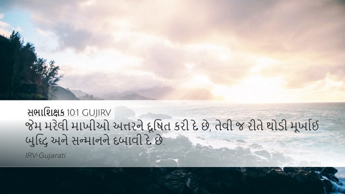 સભાશિક્ષક 10:1 GUJIRV Bible Verse Image