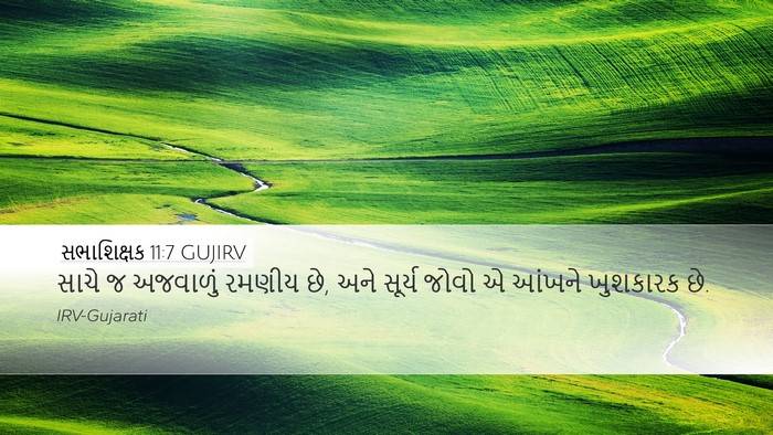 સભાશિક્ષક 11:7 GUJIRV Bible Verse Image