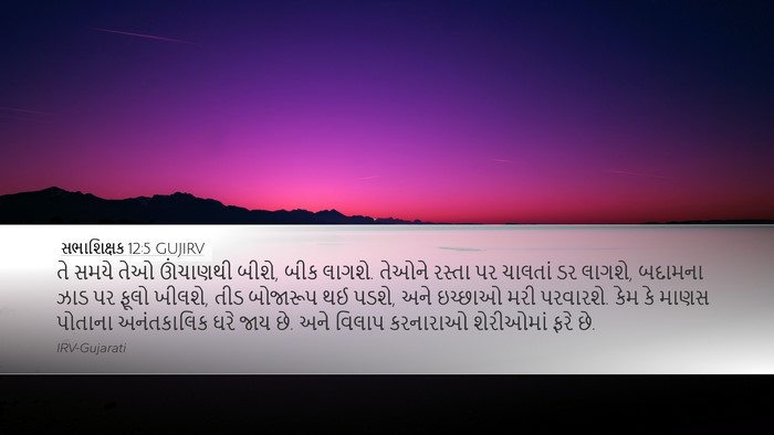 સભાશિક્ષક 12:5 GUJIRV Bible Verse Image