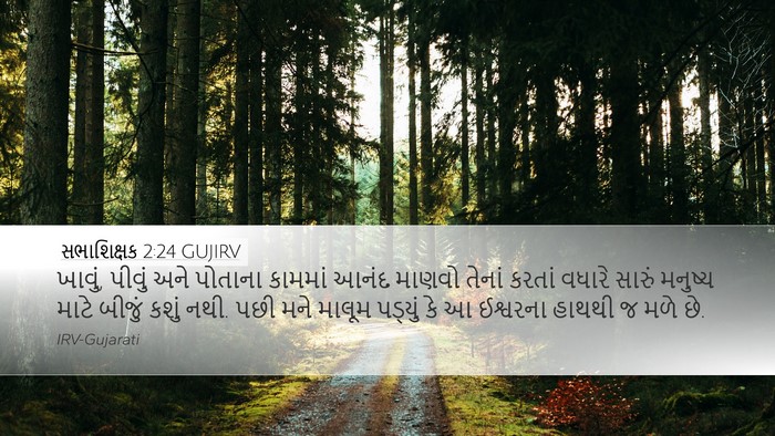 સભાશિક્ષક 2:24 GUJIRV Bible Verse Image