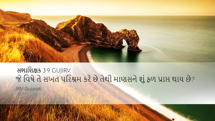સભાશિક્ષક 3:9 GUJIRV Bible Verse Image
