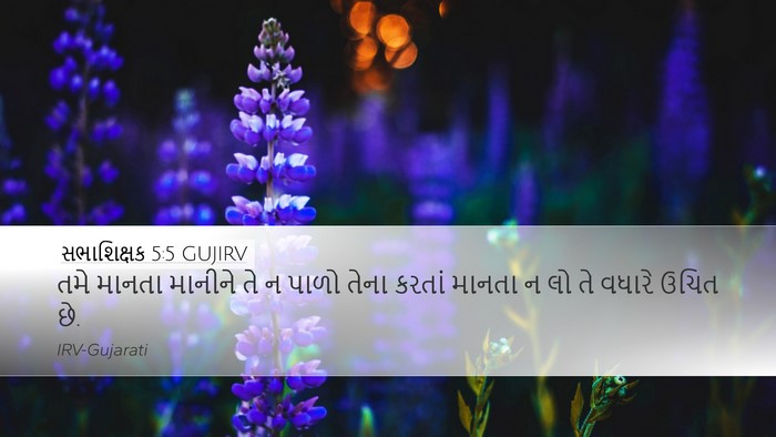 સભાશિક્ષક 5:5 GUJIRV Bible Verse Image