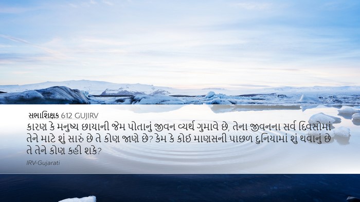 સભાશિક્ષક 6:12 GUJIRV Bible Verse Image