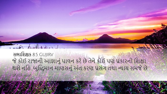 સભાશિક્ષક 8:5 GUJIRV Bible Verse Image
