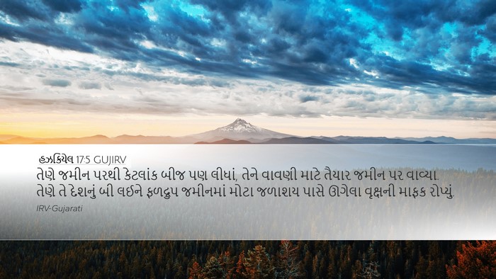હઝકિયેલ 17:5 GUJIRV Bible Verse Image