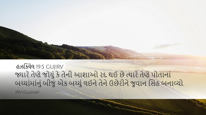 હઝકિયેલ 19:5 GUJIRV Bible Verse Image