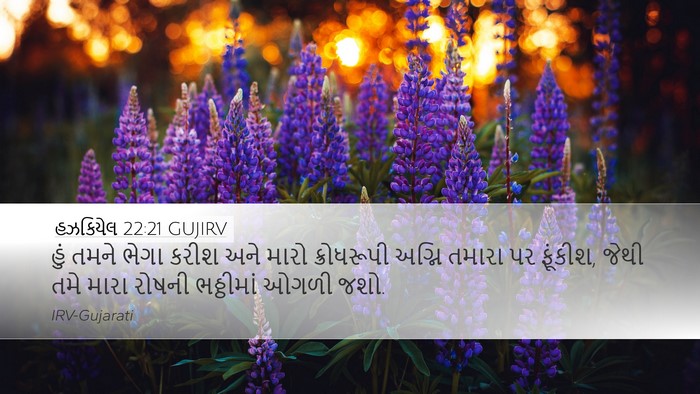 હઝકિયેલ 22:21 GUJIRV Bible Verse Image