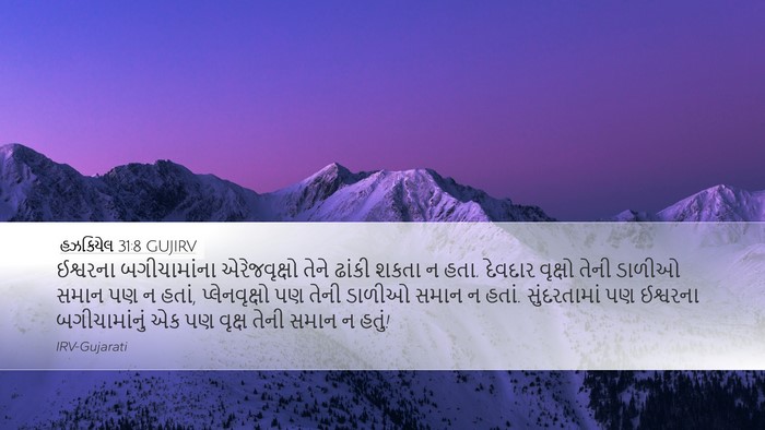 હઝકિયેલ 31:8 GUJIRV Bible Verse Image