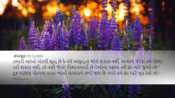 હબાક્કુક 1:13 GUJIRV Bible Verse Image