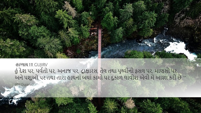 હાગ્ગાય 1:11 GUJIRV Bible Verse Image