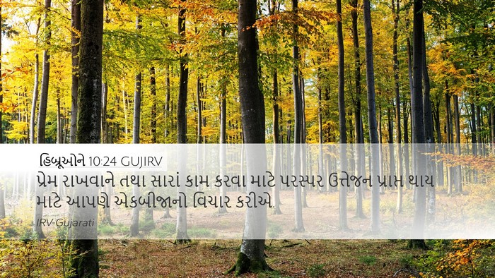 હિબ્રૂઓને 10:24 GUJIRV Bible Verse Image