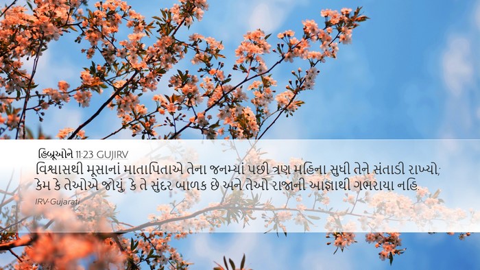 હિબ્રૂઓને 11:23 GUJIRV Bible Verse Image