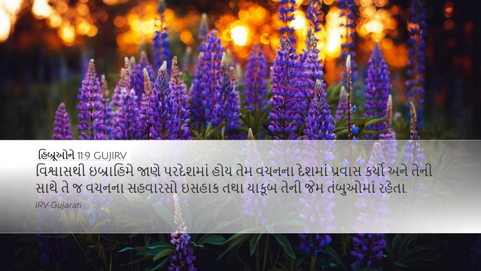 હિબ્રૂઓને 11:9 GUJIRV Bible Verse Image