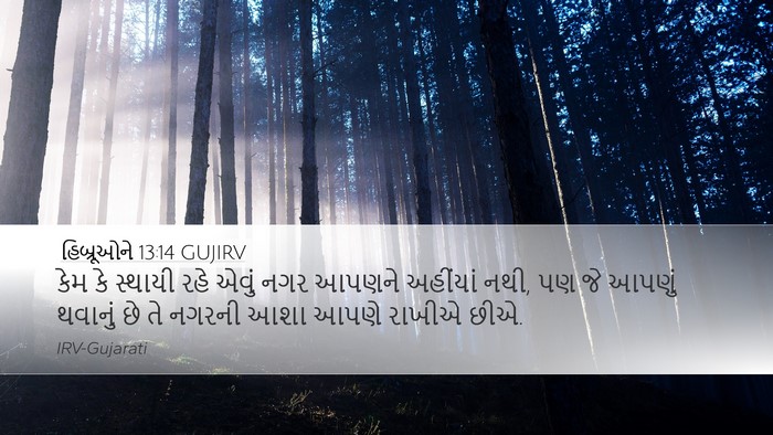 હિબ્રૂઓને 13:14 GUJIRV Bible Verse Image