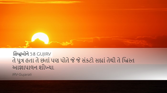 હિબ્રૂઓને 5:8 GUJIRV Bible Verse Image