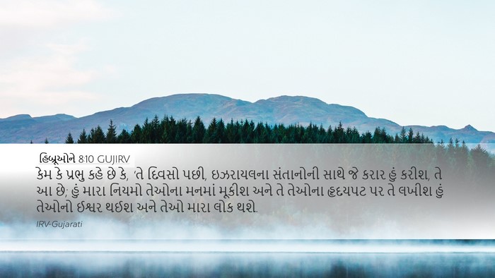હિબ્રૂઓને 8:10 GUJIRV Bible Verse Image