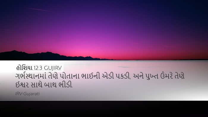હોશિયા 12:3 GUJIRV Bible Verse Image