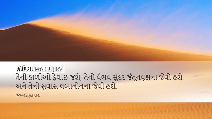 હોશિયા 14:6 GUJIRV Bible Verse Image