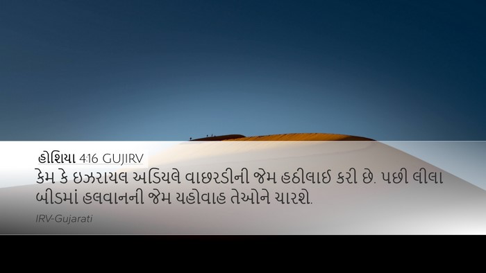 હોશિયા 4:16 GUJIRV Bible Verse Image